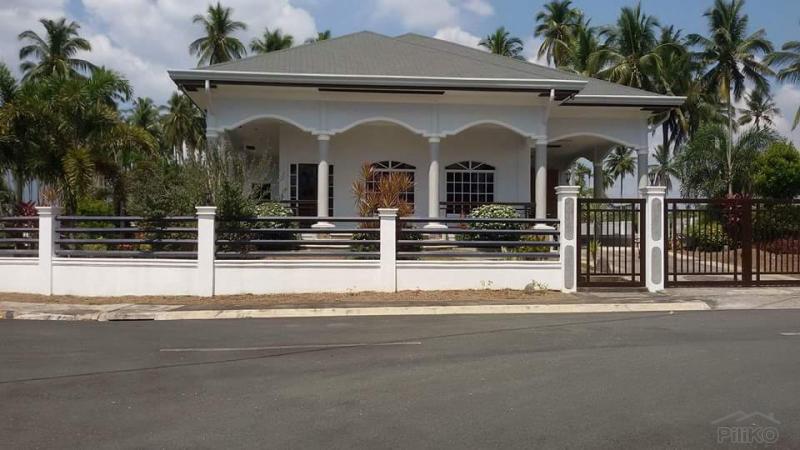 Land and Farm for sale in San Pablo - image 15