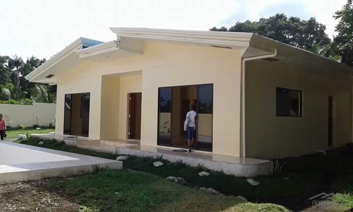 3 bedroom House and Lot for sale in Bacong - image 16
