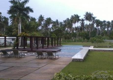 Land and Farm for sale in San Pablo - image 16