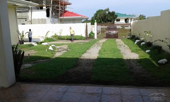 3 bedroom House and Lot for sale in Bacong - image 18