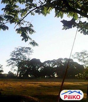 Picture of Other lots for sale in San Jose del Monte