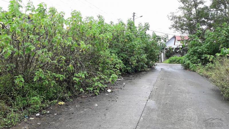 Pictures of Residential Lot for sale in Baguio