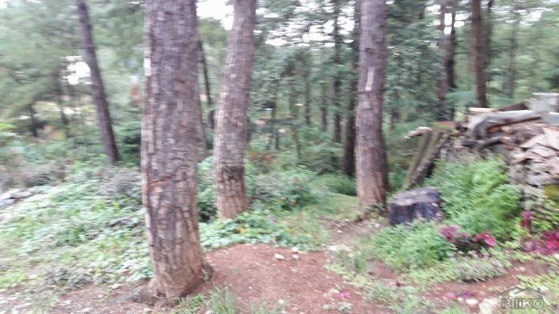 Picture of Residential Lot for sale in Baguio