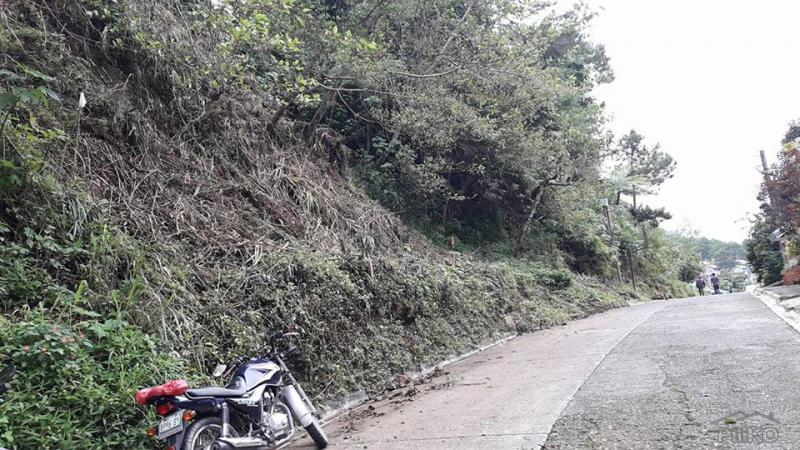 Picture of Residential Lot for sale in Baguio