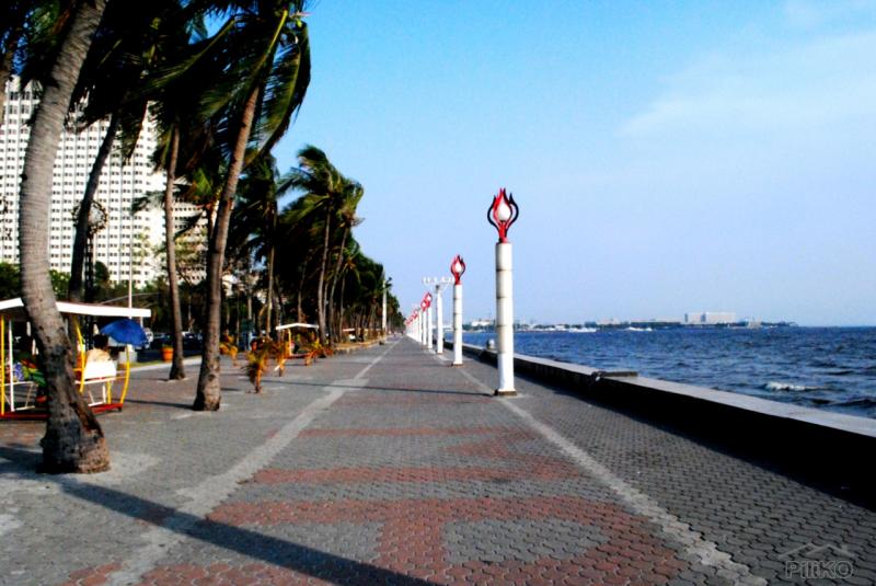 Pictures of Commercial Lot for sale in Pasay