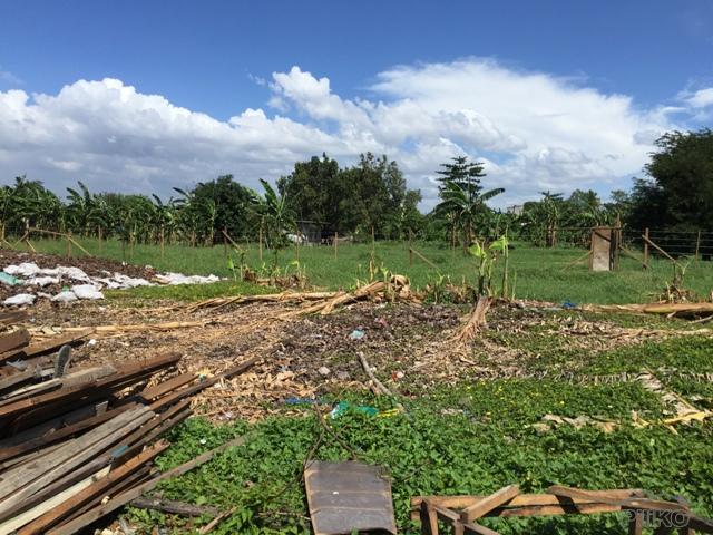 Picture of Commercial Lot for sale in Paranaque