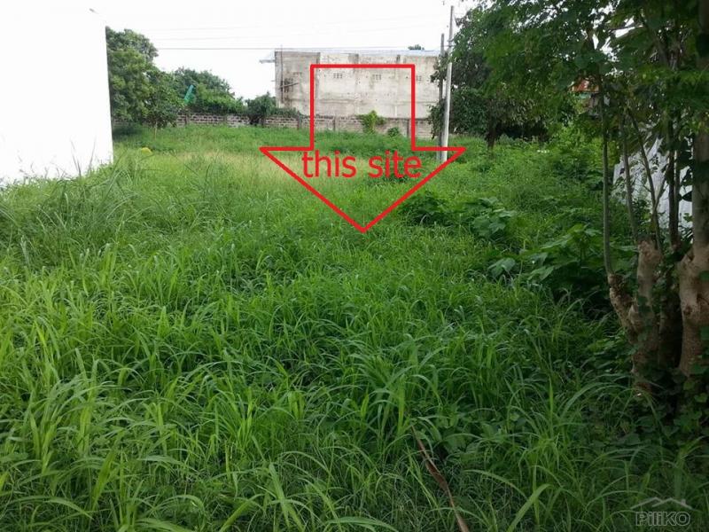 Picture of Residential Lot for sale in Lapu Lapu