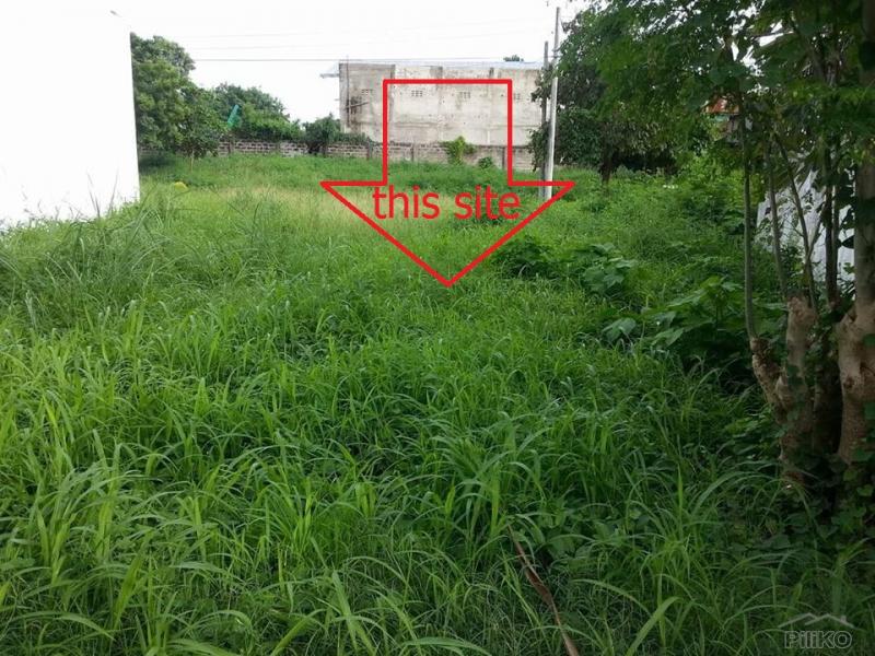 Pictures of Residential Lot for sale in Lapu Lapu