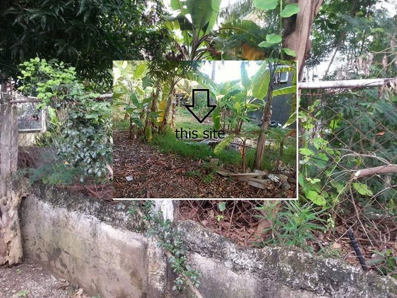 Picture of Residential Lot for sale in Lapu Lapu