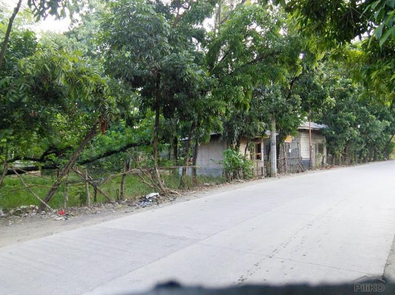 Picture of Residential Lot for sale in Lapu Lapu