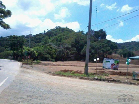 Picture of Residential Lot for sale in Antipolo