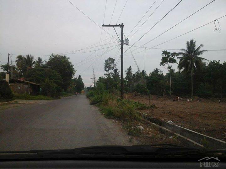 Picture of Residential Lot for sale in Tagum
