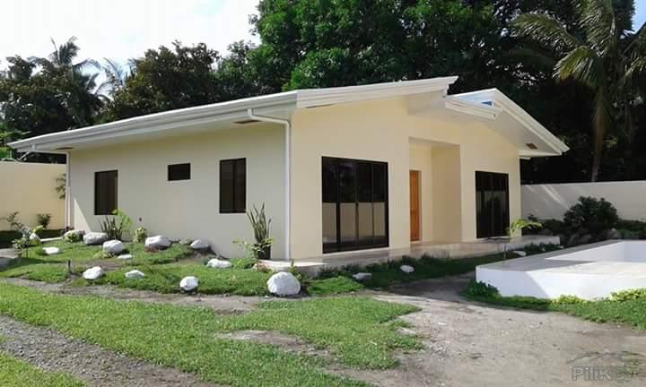 Pictures of 3 bedroom House and Lot for sale in Bacong