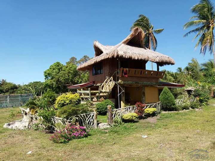 Picture of 2 bedroom House and Lot for sale in Dauin