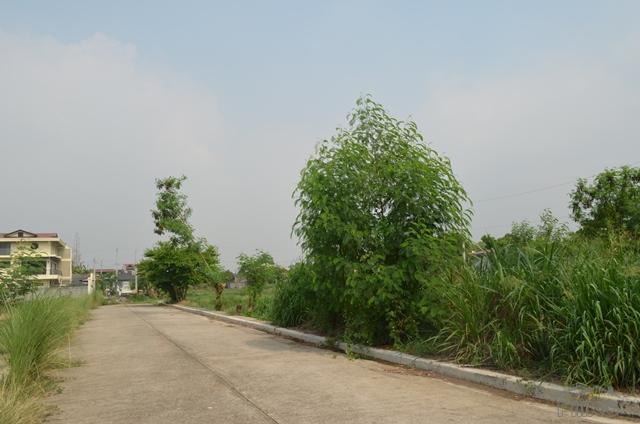 Pictures of Residential Lot for sale in Cainta