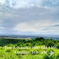 Pictures of Residential Lot for sale in Cebu City