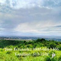 Picture of Residential Lot for sale in Cebu City