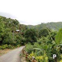 Picture of Residential Lot for sale in Cebu City