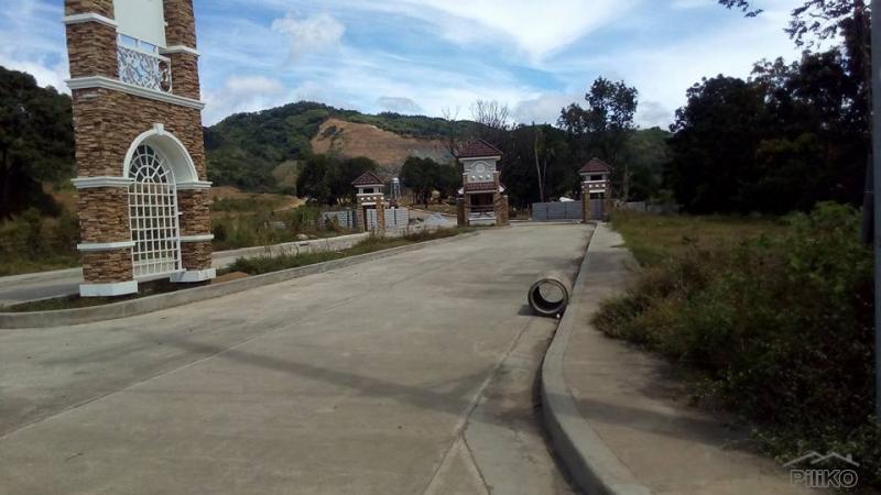 Pictures of Residential Lot for sale in Antipolo
