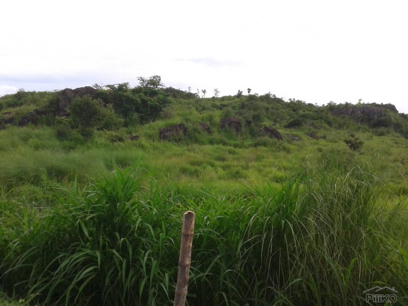 Picture of Land and Farm for sale in Cuyapo