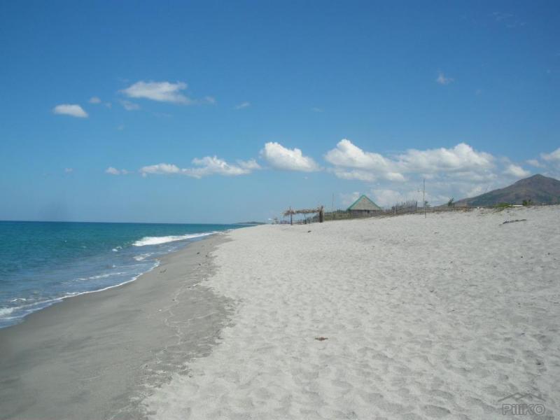 Picture of Other property for sale in Botolan