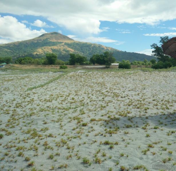 Pictures of Commercial Lot for sale in Botolan