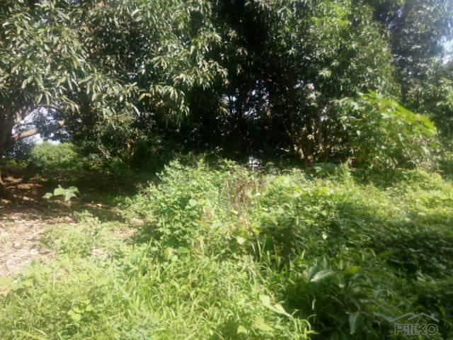 Picture of Land and Farm for sale in Batangas City