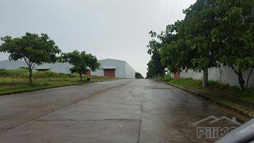 Picture of Land and Farm for sale in Baras