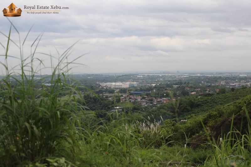 Picture of Residential Lot for sale in Consolacion