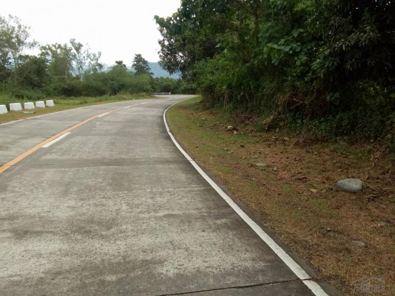 Picture of Land and Farm for sale in San Jose
