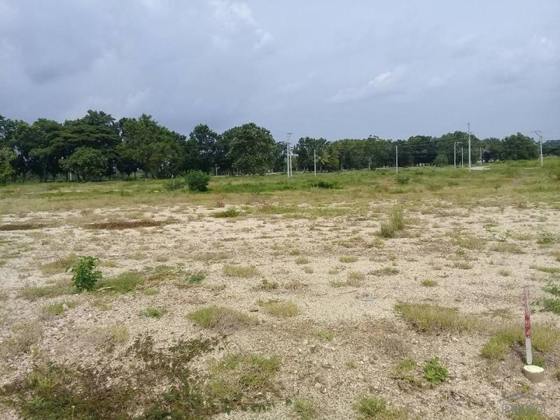 Residential Lot for sale in San Juan - image 23