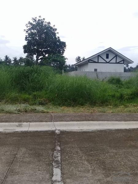 Residential Lot for sale in San Pablo - image 23