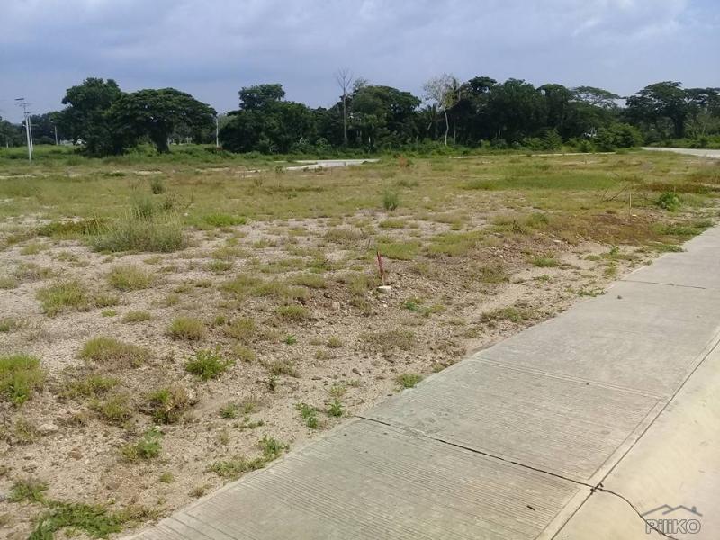 Residential Lot for sale in San Juan - image 24