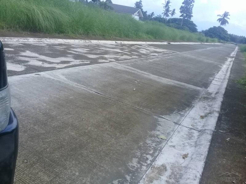 Residential Lot for sale in San Pablo - image 24