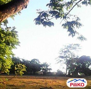 Other lots for sale in San Jose del Monte