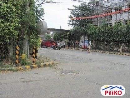 Residential Lot for sale in Cainta - image 2