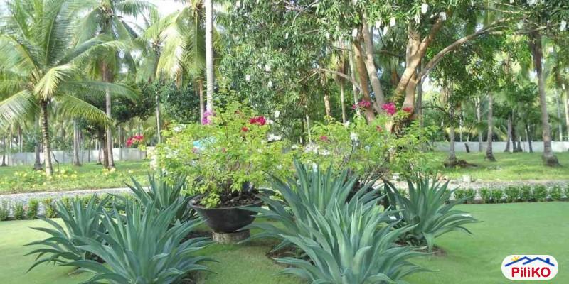 Residential Lot for sale in Cebu City