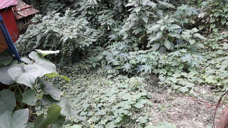 Residential Lot for sale in Baguio - image 2