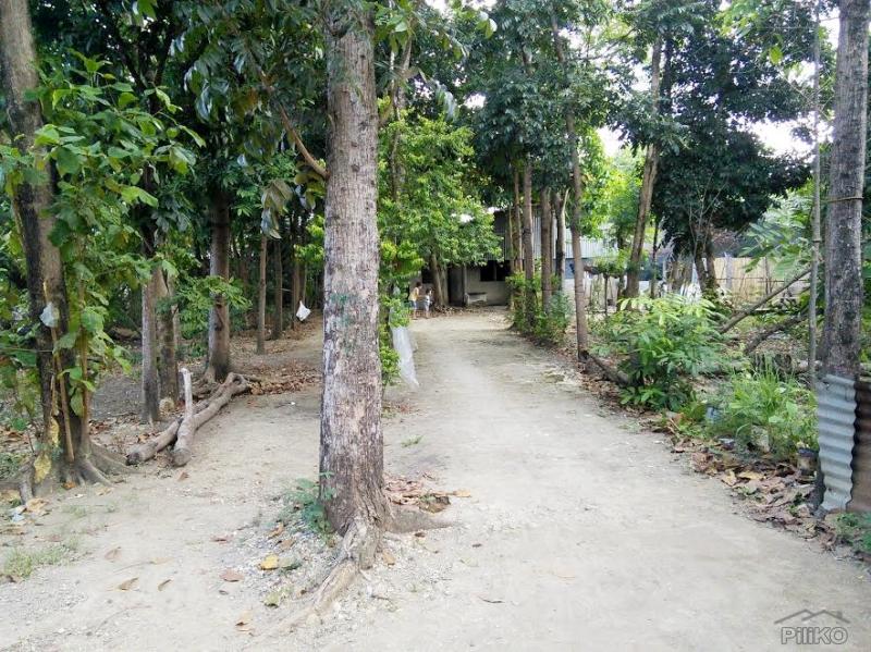 Residential Lot for sale in Lapu Lapu