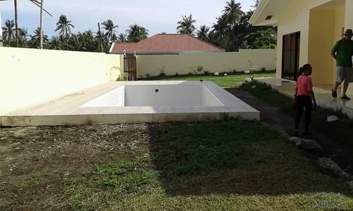 3 bedroom House and Lot for sale in Bacong - image 2