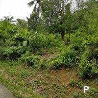 Residential Lot for sale in Cebu City - image 2