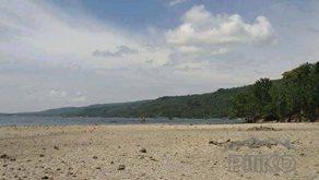 Residential Lot for sale in Island Garden City of Samal - image 2