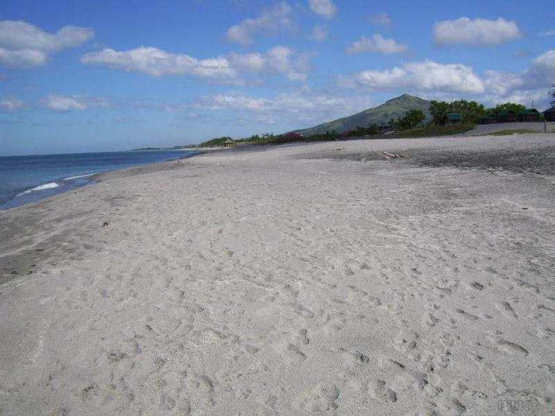 Residential Lot for sale in Cabangan - image 2