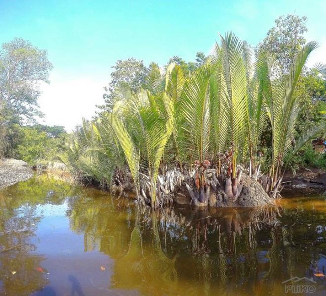 Land and Farm for sale in Loay