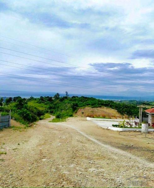 Residential Lot for sale in Minglanilla