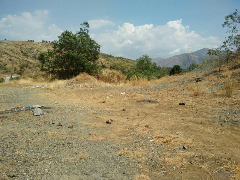 Land and Farm for sale in Cuyapo - image 2