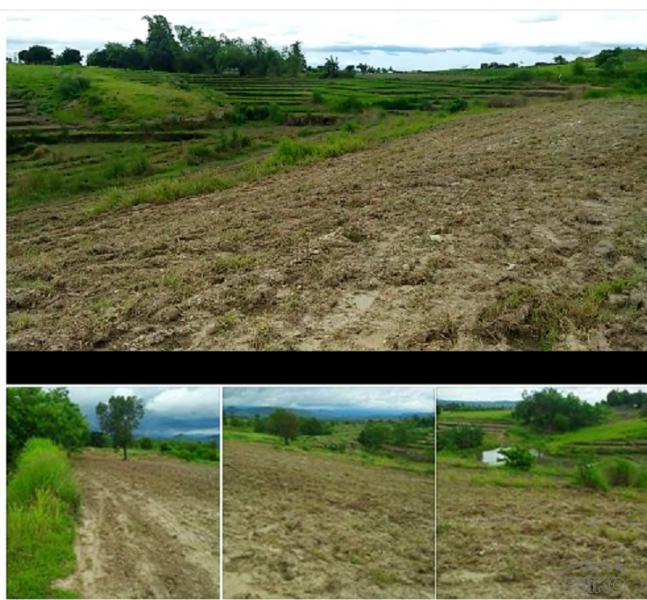 Land and Farm for sale in San Jose