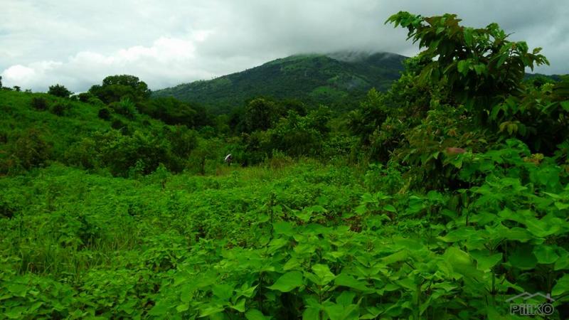 Land and Farm for sale in Cabangan - image 2