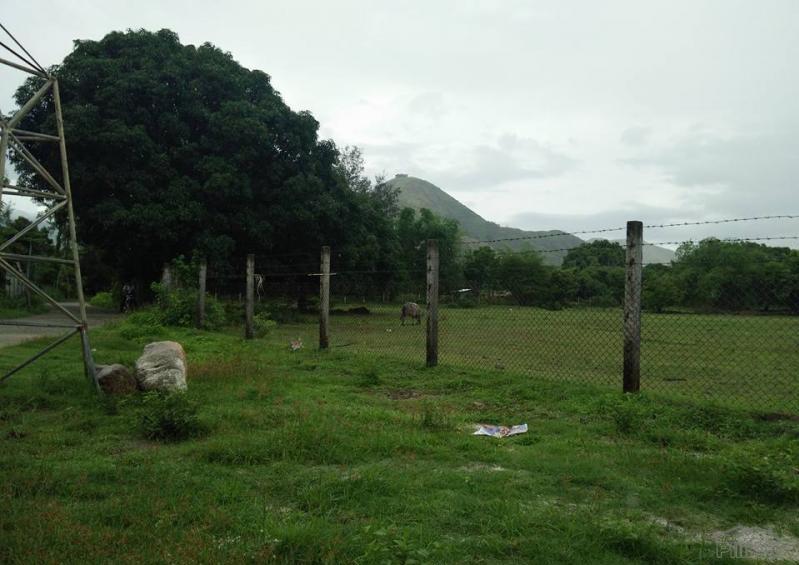 Land and Farm for sale in Cabangan