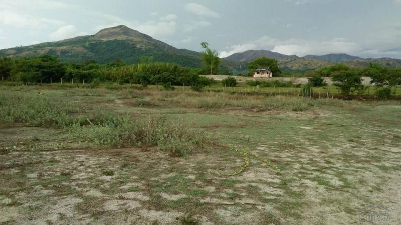 Other property for sale in Cabangan - image 2